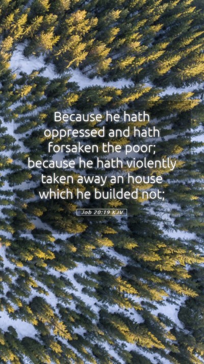 Picture 05 - Job 20:19 KJV Mobile Phone Wallpaper - Because he hath oppressed and hath forsaken the - Mobile Bible Verse Wallpaper