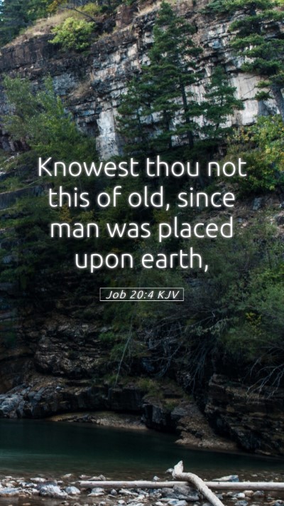 Picture 05 - Job 20:4 KJV Mobile Phone Wallpaper - Knowest thou not this of old, since man was - Mobile Bible Verse Wallpaper