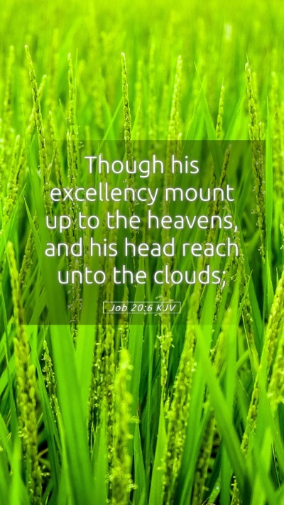 Picture 05 - Job 20:6 KJV Mobile Phone Wallpaper - Though his excellency mount up to the heavens, - Mobile Bible Verse Wallpaper