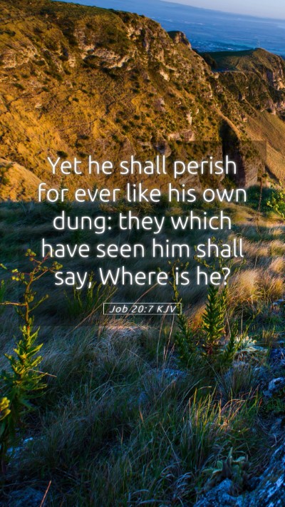 Picture 05 - Job 20:7 KJV Mobile Phone Wallpaper - Yet he shall perish for ever like his own dung: - Mobile Bible Verse Wallpaper