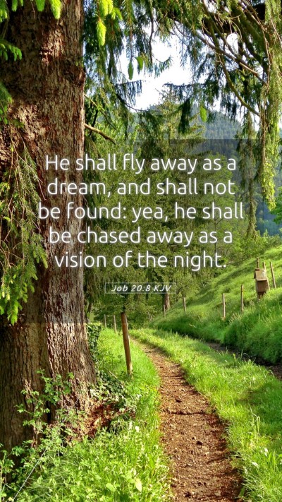 Picture 05 - Job 20:8 KJV Mobile Phone Wallpaper - He shall fly away as a dream, and shall not be - Mobile Bible Verse Wallpaper