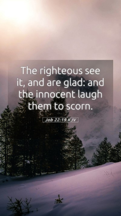 Picture 05 - Job 22:19 KJV Mobile Phone Wallpaper - The righteous see it, and are glad: and the - Mobile Bible Verse Wallpaper