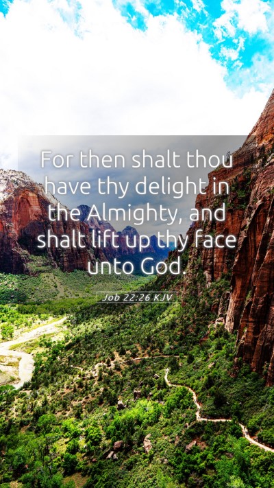 Picture 05 - Job 22:26 KJV Mobile Phone Wallpaper - For then shalt thou have thy delight in the - Mobile Bible Verse Wallpaper