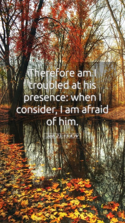 Picture 05 - Job 23:15 KJV Mobile Phone Wallpaper - Therefore am I troubled at his presence: when I - Mobile Bible Verse Wallpaper