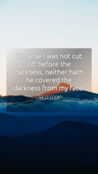 Picture 05 - Job 23:17 KJV Mobile Phone Wallpaper - Because I was not cut off before the darkness, - Mobile Bible Verse Wallpaper
