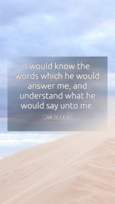 Picture 05 - Job 23:5 KJV Mobile Phone Wallpaper - I would know the words which he would answer me, - Mobile Bible Verse Wallpaper