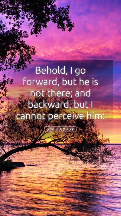 Picture 05 - Job 23:8 KJV Mobile Phone Wallpaper - Behold, I go forward, but he is not there; and - Mobile Bible Verse Wallpaper