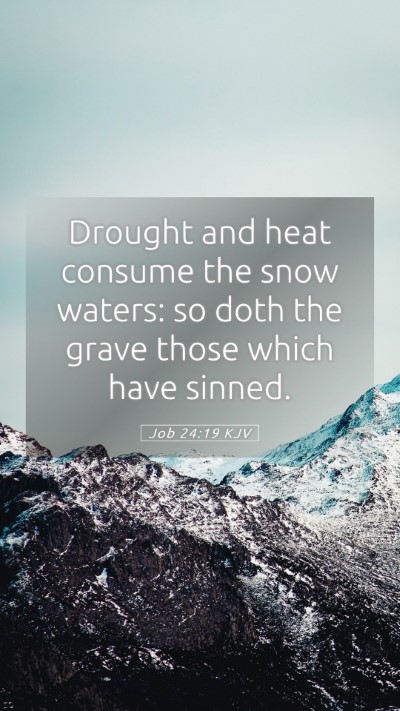 Picture 05 - Job 24:19 KJV Mobile Phone Wallpaper - Drought and heat consume the snow waters: so doth - Mobile Bible Verse Wallpaper