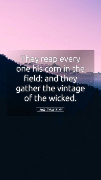 Picture 05 - Job 24:6 KJV Mobile Phone Wallpaper - They reap every one his corn in the field: and - Mobile Bible Verse Wallpaper