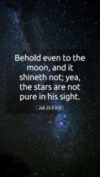 Picture 05 - Job 25:5 KJV Mobile Phone Wallpaper - Behold even to the moon, and it shineth not; yea, - Mobile Bible Verse Wallpaper