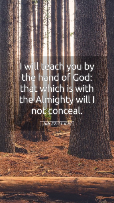 Picture 05 - Job 27:11 KJV Mobile Phone Wallpaper - I will teach you by the hand of God: that which - Mobile Bible Verse Wallpaper