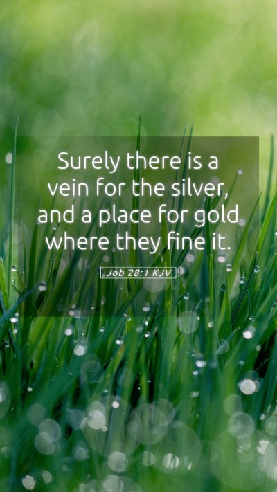 Picture 05 - Job 28:1 KJV Mobile Phone Wallpaper - Surely there is a vein for the silver, and a - Mobile Bible Verse Wallpaper