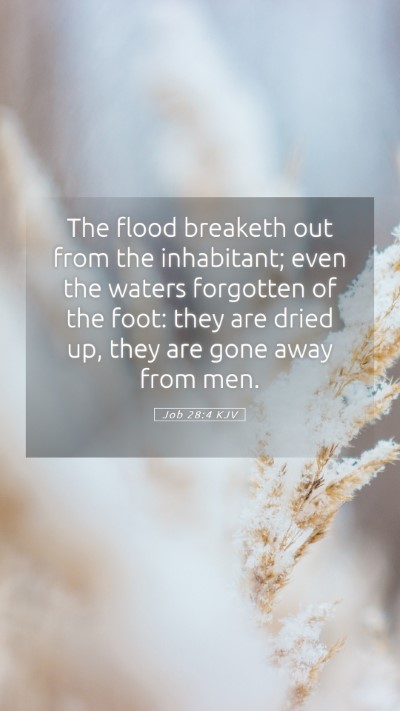 Picture 05 - Job 28:4 KJV Mobile Phone Wallpaper - The flood breaketh out from the inhabitant; even - Mobile Bible Verse Wallpaper