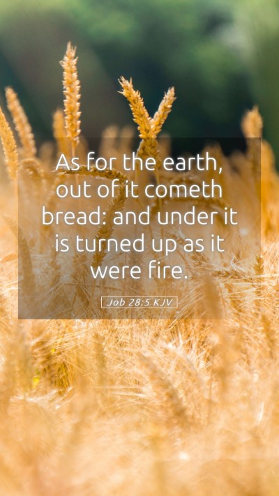 Picture 05 - Job 28:5 KJV Mobile Phone Wallpaper - As for the earth, out of it cometh bread: and - Mobile Bible Verse Wallpaper