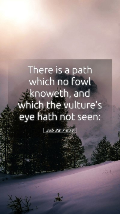 Picture 05 - Job 28:7 KJV Mobile Phone Wallpaper - There is a path which no fowl knoweth, and which - Mobile Bible Verse Wallpaper