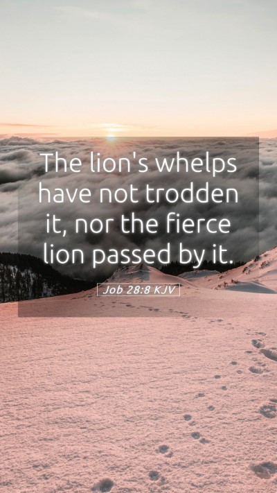 Picture 05 - Job 28:8 KJV Mobile Phone Wallpaper - The lion's whelps have not trodden it, nor the - Mobile Bible Verse Wallpaper