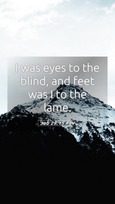 Picture 05 - Job 29:15 KJV Mobile Phone Wallpaper - I was eyes to the blind, and feet was I to the - Mobile Bible Verse Wallpaper