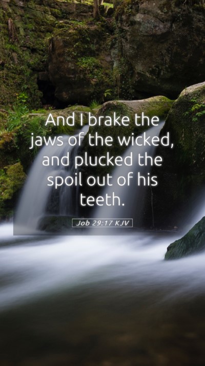 Picture 05 - Job 29:17 KJV Mobile Phone Wallpaper - And I brake the jaws of the wicked, and plucked - Mobile Bible Verse Wallpaper