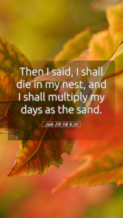 Picture 05 - Job 29:18 KJV Mobile Phone Wallpaper - Then I said, I shall die in my nest, and I shall - Mobile Bible Verse Wallpaper
