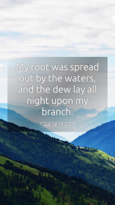 Picture 05 - Job 29:19 KJV Mobile Phone Wallpaper - My root was spread out by the waters, and the dew - Mobile Bible Verse Wallpaper