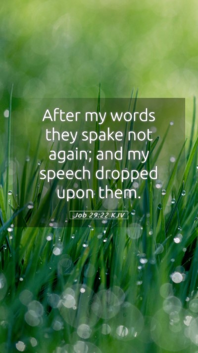 Picture 05 - Job 29:22 KJV Mobile Phone Wallpaper - After my words they spake not again; and my - Mobile Bible Verse Wallpaper