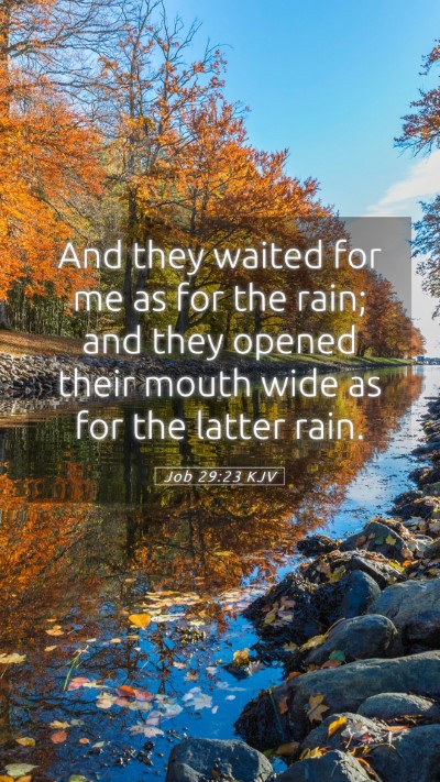 Picture 05 - Job 29:23 KJV Mobile Phone Wallpaper - And they waited for me as for the rain; and they - Mobile Bible Verse Wallpaper