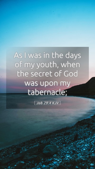 Picture 05 - Job 29:4 KJV Mobile Phone Wallpaper - As I was in the days of my youth, when the secret - Mobile Bible Verse Wallpaper