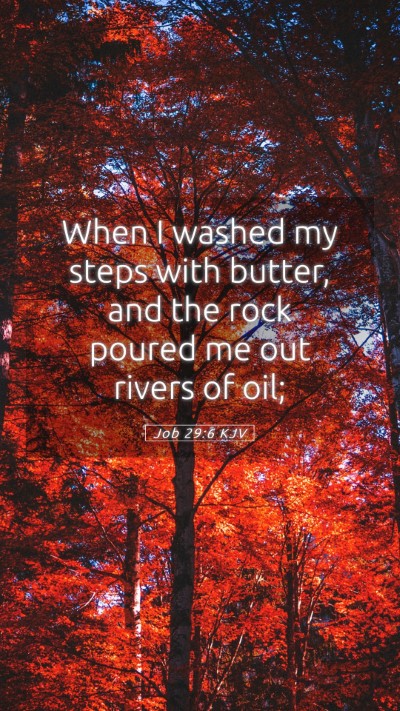 Picture 05 - Job 29:6 KJV Mobile Phone Wallpaper - When I washed my steps with butter, and the rock - Mobile Bible Verse Wallpaper