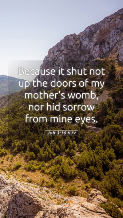 Picture 05 - Job 3:10 KJV Mobile Phone Wallpaper - Because it shut not up the doors of my mother's - Mobile Bible Verse Wallpaper