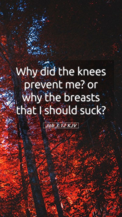Picture 05 - Job 3:12 KJV Mobile Phone Wallpaper - Why did the knees prevent me? or why the breasts - Mobile Bible Verse Wallpaper