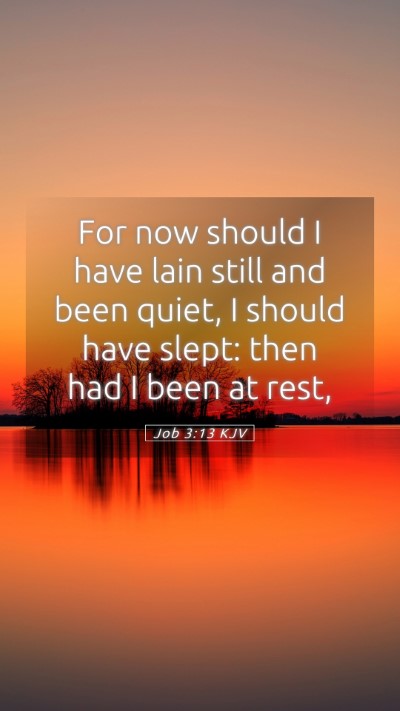Picture 05 - Job 3:13 KJV Mobile Phone Wallpaper - For now should I have lain still and been quiet, - Mobile Bible Verse Wallpaper