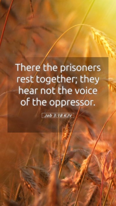 Picture 05 - Job 3:18 KJV Mobile Phone Wallpaper - There the prisoners rest together; they hear not - Mobile Bible Verse Wallpaper
