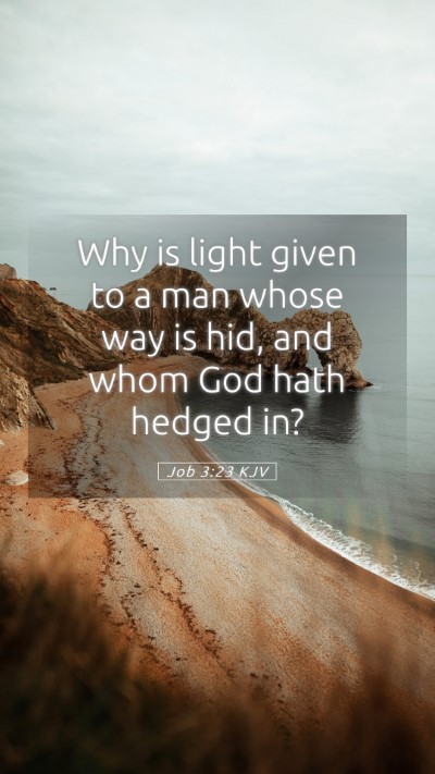 Picture 05 - Job 3:23 KJV Mobile Phone Wallpaper - Why is light given to a man whose way is hid, and - Mobile Bible Verse Wallpaper