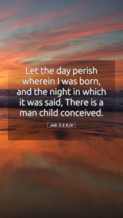 Picture 05 - Job 3:3 KJV Mobile Phone Wallpaper - Let the day perish wherein I was born, and the - Mobile Bible Verse Wallpaper