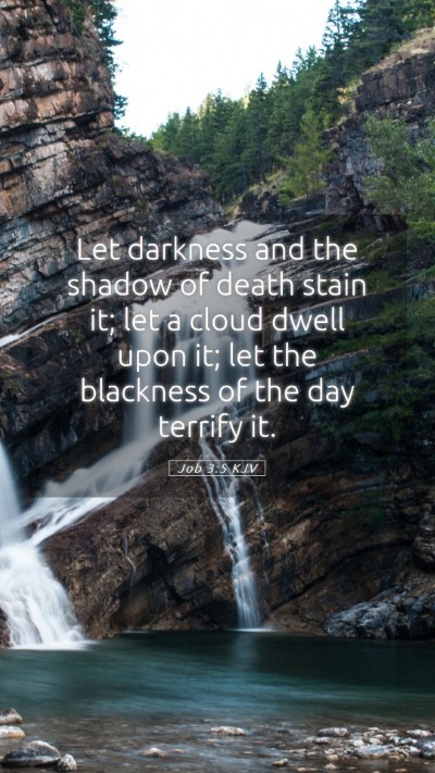 Picture 05 - Job 3:5 KJV Mobile Phone Wallpaper - Let darkness and the shadow of death stain it; - Mobile Bible Verse Wallpaper