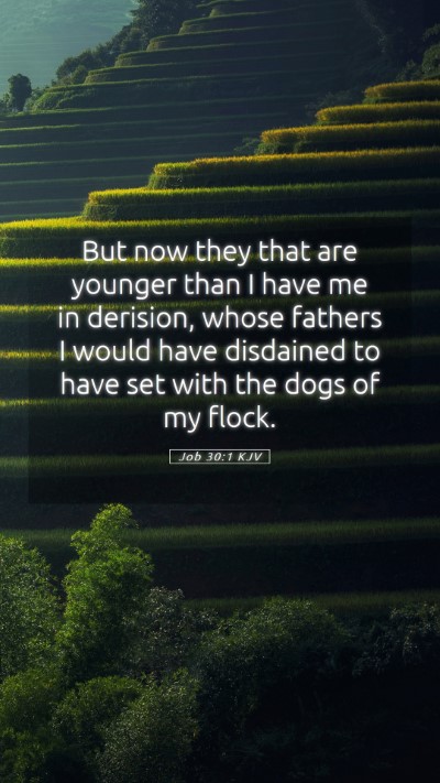 Picture 05 - Job 30:1 KJV Mobile Phone Wallpaper - But now they that are younger than I have me in - Mobile Bible Verse Wallpaper