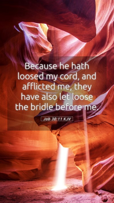 Picture 05 - Job 30:11 KJV Mobile Phone Wallpaper - Because he hath loosed my cord, and afflicted me, - Mobile Bible Verse Wallpaper