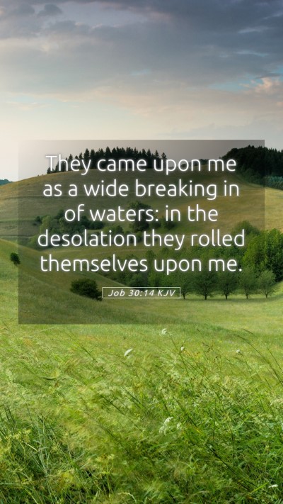 Picture 05 - Job 30:14 KJV Mobile Phone Wallpaper - They came upon me as a wide breaking in of - Mobile Bible Verse Wallpaper