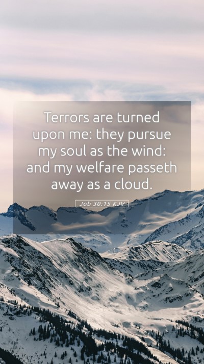 Picture 05 - Job 30:15 KJV Mobile Phone Wallpaper - Terrors are turned upon me: they pursue my soul - Mobile Bible Verse Wallpaper
