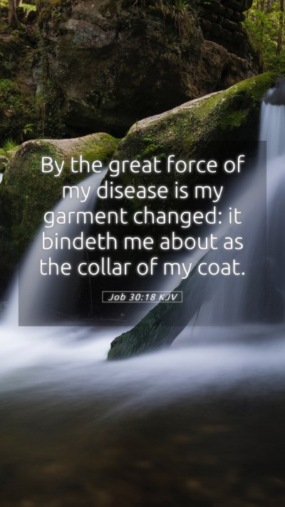 Picture 05 - Job 30:18 KJV Mobile Phone Wallpaper - By the great force of my disease is my garment - Mobile Bible Verse Wallpaper