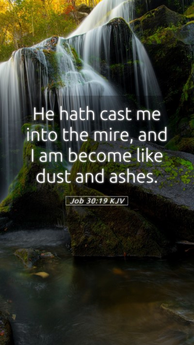 Picture 05 - Job 30:19 KJV Mobile Phone Wallpaper - He hath cast me into the mire, and I am become - Mobile Bible Verse Wallpaper