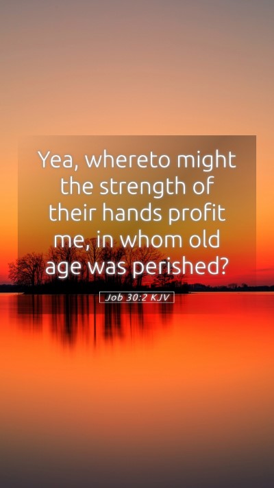Picture 05 - Job 30:2 KJV Mobile Phone Wallpaper - Yea, whereto might the strength of their hands - Mobile Bible Verse Wallpaper