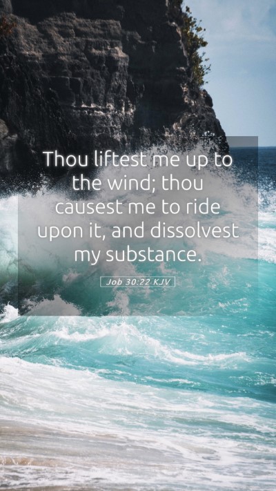 Picture 05 - Job 30:22 KJV Mobile Phone Wallpaper - Thou liftest me up to the wind; thou causest me - Mobile Bible Verse Wallpaper