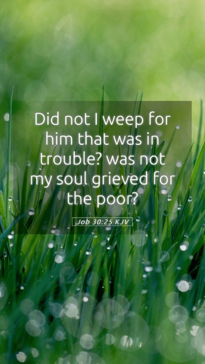 Picture 05 - Job 30:25 KJV Mobile Phone Wallpaper - Did not I weep for him that was in trouble? was - Mobile Bible Verse Wallpaper