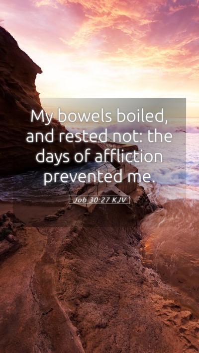 Picture 05 - Job 30:27 KJV Mobile Phone Wallpaper - My bowels boiled, and rested not: the days of - Mobile Bible Verse Wallpaper