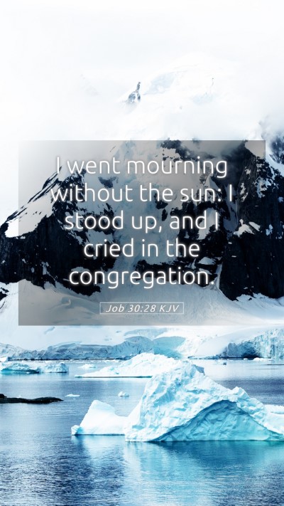 Picture 05 - Job 30:28 KJV Mobile Phone Wallpaper - I went mourning without the sun: I stood up, and - Mobile Bible Verse Wallpaper
