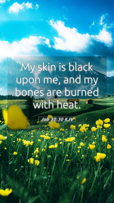 Picture 05 - Job 30:30 KJV Mobile Phone Wallpaper - My skin is black upon me, and my bones are burned - Mobile Bible Verse Wallpaper