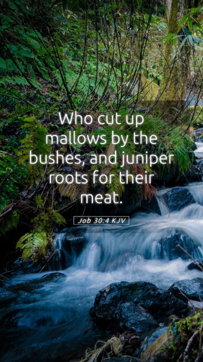 Picture 05 - Job 30:4 KJV Mobile Phone Wallpaper - Who cut up mallows by the bushes, and juniper - Mobile Bible Verse Wallpaper