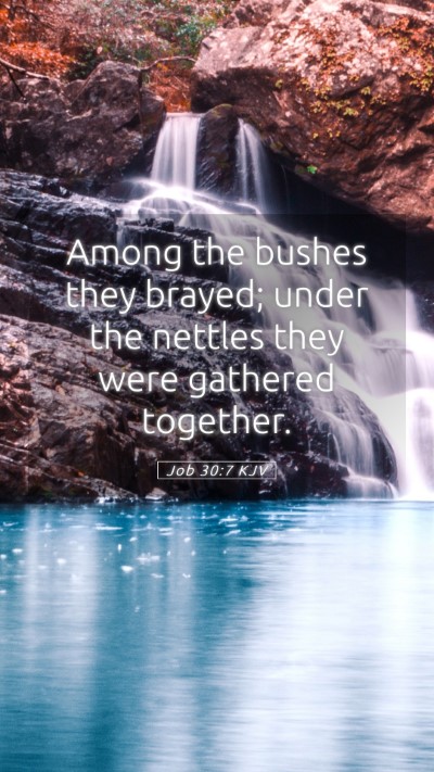 Picture 05 - Job 30:7 KJV Mobile Phone Wallpaper - Among the bushes they brayed; under the nettles - Mobile Bible Verse Wallpaper