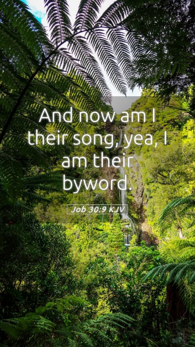 Picture 05 - Job 30:9 KJV Mobile Phone Wallpaper - And now am I their song, yea, I am their - Mobile Bible Verse Wallpaper